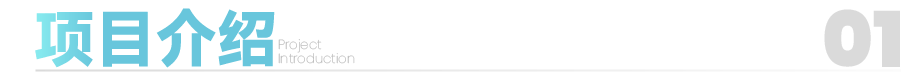 01_副标 项目介绍.png